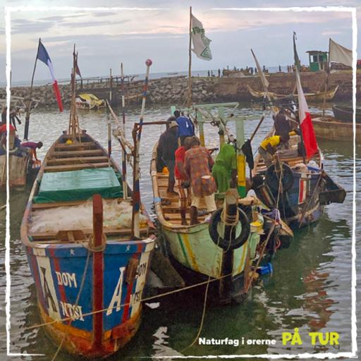 Afsnit 5: Ulovlig trawl