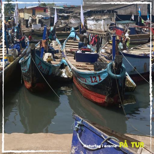 Afsnit 4: Dynamitfiskeri