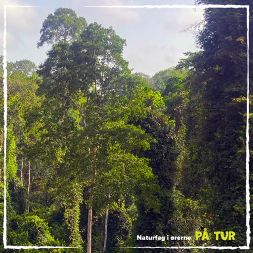 Afsnit 2. I guldets spor af kviksølv mp3