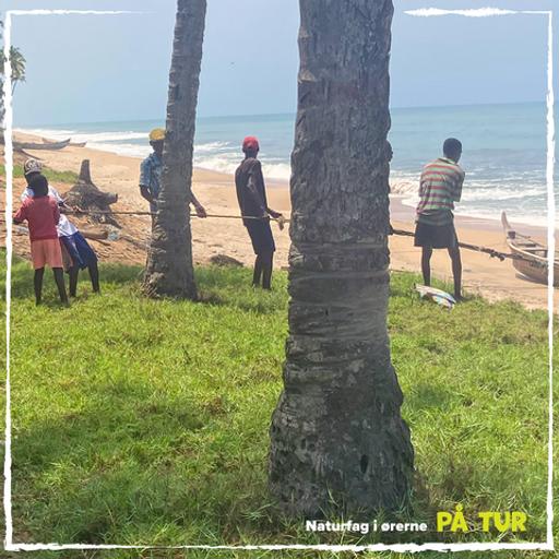 Afsnit 1: Fælleskabets tragedie