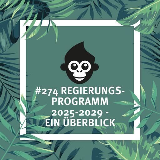 #274 Regierungsprogramm 2025-2029 – ein Überblick