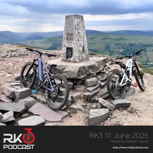 RK3 111: June 2025