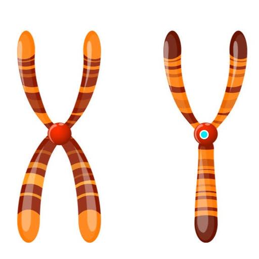 #276 The Untold Story of Sex Hormones