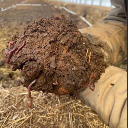 Watershed Ranch: Fungal Compost to Improve Soil Health in High Desert Colorado