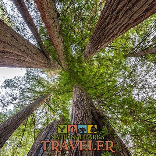 National Parks Traveler Podcast | How Wild