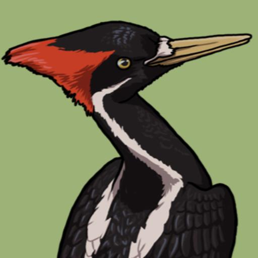 A Wronged Woodpecker