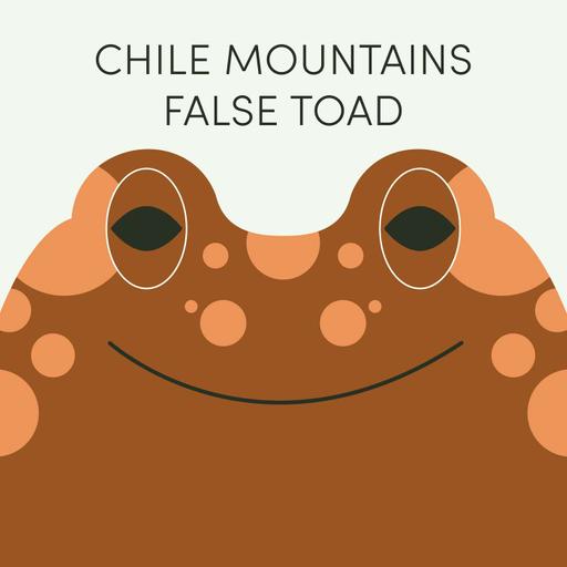 Week of June 9th | Chile Mountains False Toad