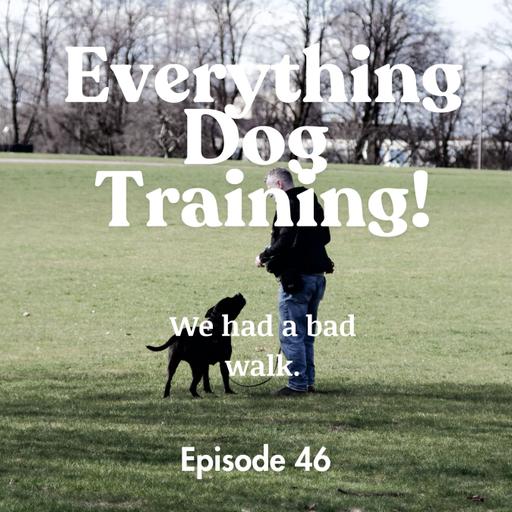 Episode 46 - we had a bad walk