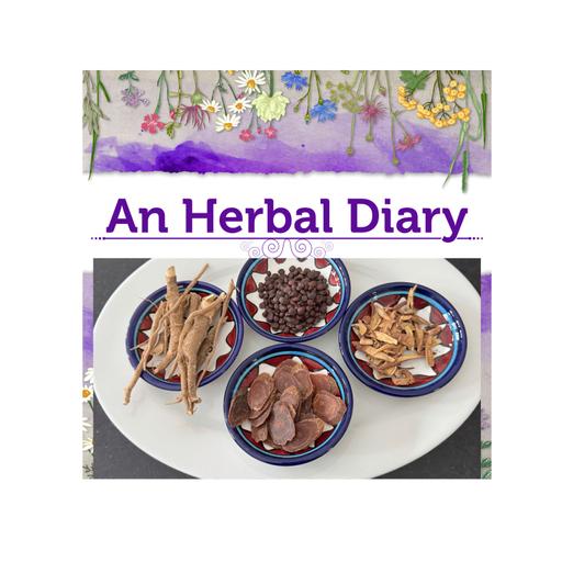 Stress Relief from Adaptogens and How Herbs Can Do This