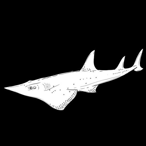 The White Spotted Wedgefish