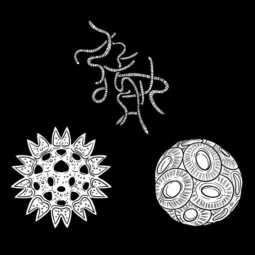 The Phytoplankton