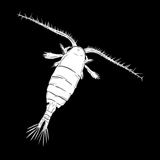 The Copepod