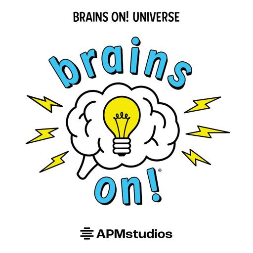 A big update about the Brains On Universe