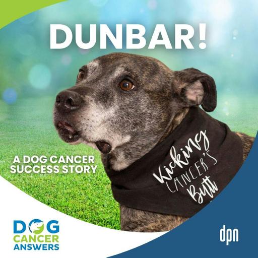 Dog Cancer Success Story: Dunbar's Triumph Over Lung Cancer | Dr. Katie Berlin and Tara Diehl #285