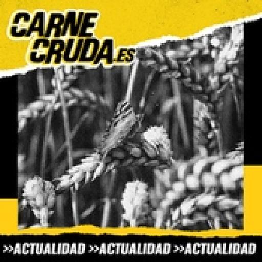 Agricultura en España: secanos o barbarie - CARNE CRUDA