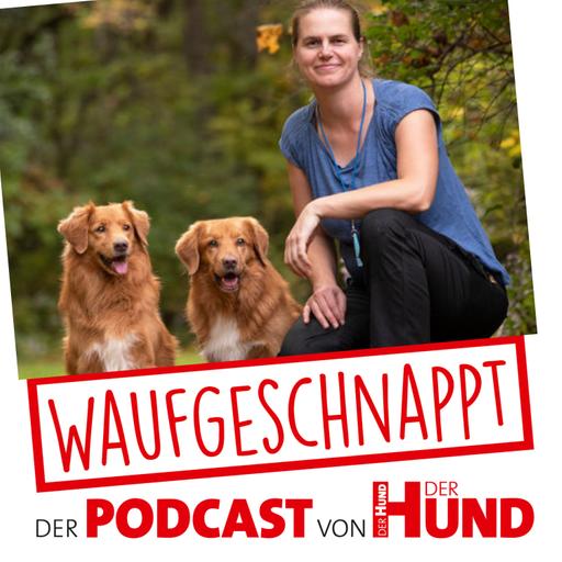 Fußarbeit, brauch ich das? - Susanne Reinke