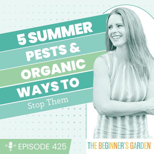425 - 5 Summer Pests and Organic Ways to Stop Them