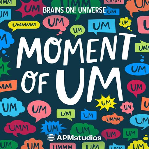 A big update about Moment of Um and the Brains On Universe