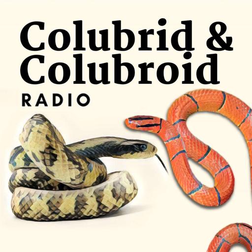 CCR's first herping trip recap!