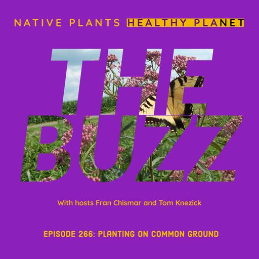 The Buzz - Planting on Common Ground