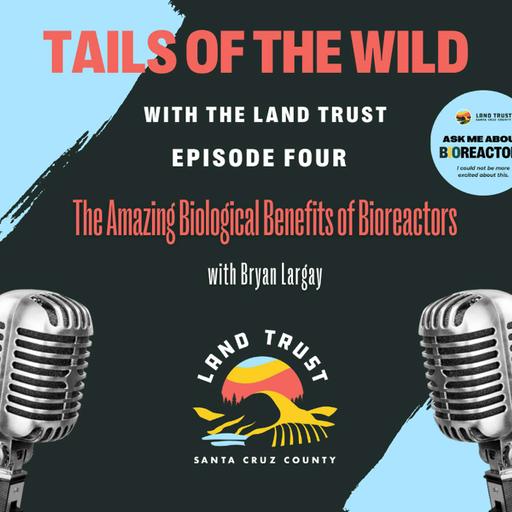 Tails of the Wild: The Amazing Biological Benefits of Bioreactors