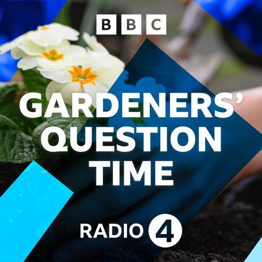 Perton Staffs: Used Compost, Angry Peonies and Ant-tics