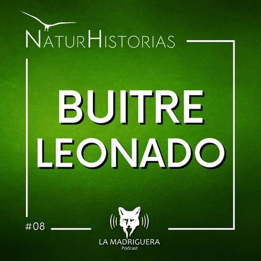 #08 - Buitre leonado - Naturhistorias (06/2025)