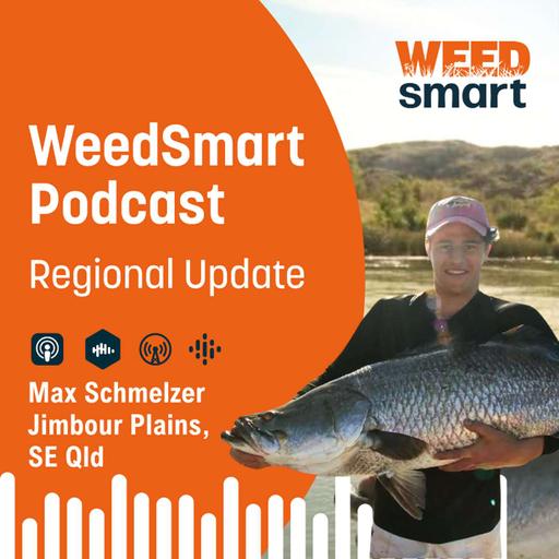 Regional Update - Max Schmelzer, Jimbour Plains, SE Qld