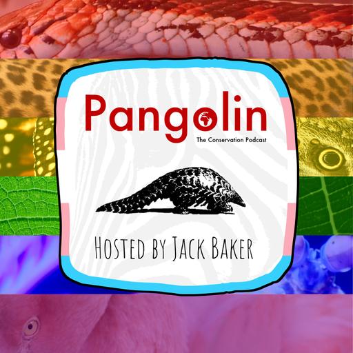 112. Finding a Healthy Balance - Volunteering, Learning and Working in the Conservation Sector (with Ruairidh Alexander - MRes Student & Volunteer with RZSS) [Pangolin Pride]