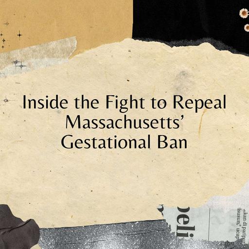 Inside the Fight to Repeal Massachusetts’ Gestational Ban