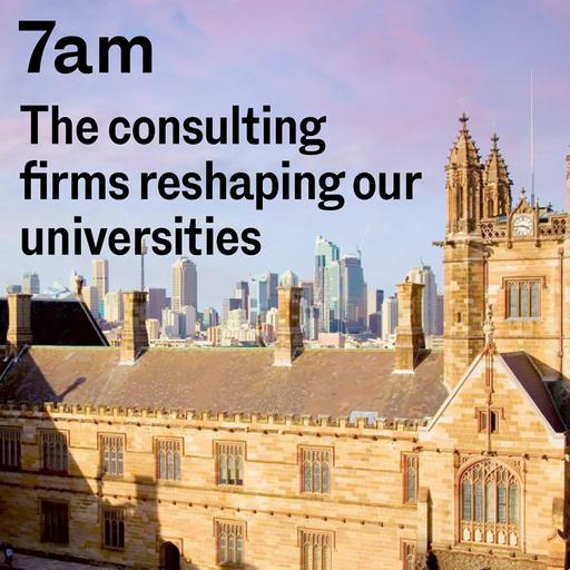 The consulting firms reshaping our universities