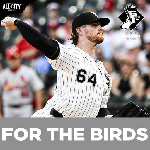 White Sox DESTROYED at home vs Cardinals, Losing Streak Hits Six | CHGO White Sox Podcast