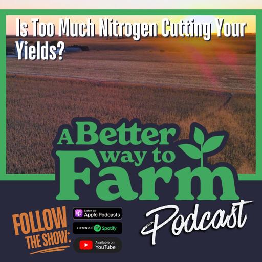 310: Is Too Much Nitrogen Cutting Your Yields?