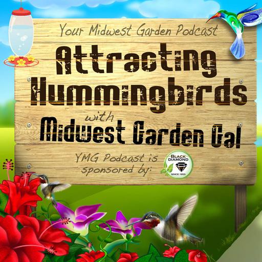 Attracting Hummingbirds