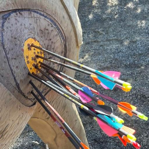 Silver Arrow Bowmen - Bowhunter Bonanza June 21 - 22, 2025