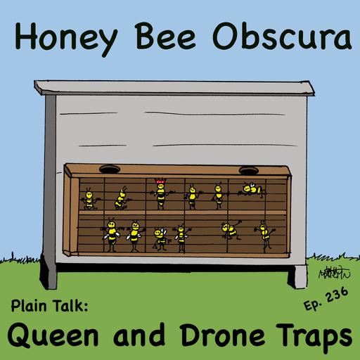Plain Talk: Queen and Drone Traps (236)