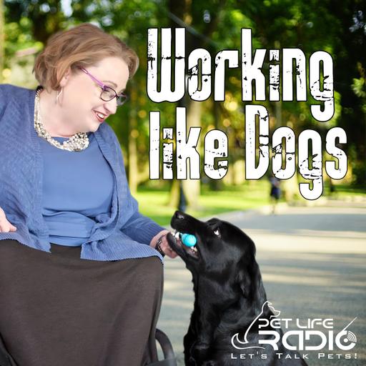 Working Like Dogs - Episode 195 Sniffing Out Danger: The Life-Saving Work of HeroRATs and HeroDOGs