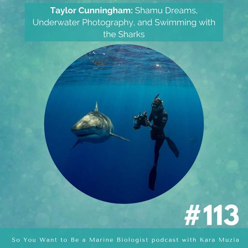 Taylor Cunningham: Shamu Dreams, Underwater Photography, and Swimming with the Sharks