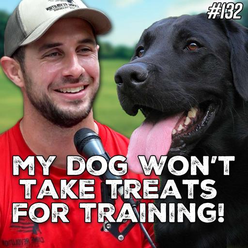 #132 My Dog Won't Work For Treats in Training: What to Do