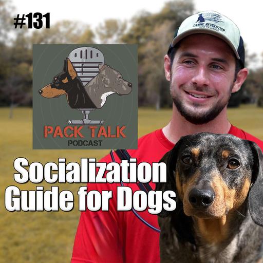 #131 A Guide to Dog Socialization