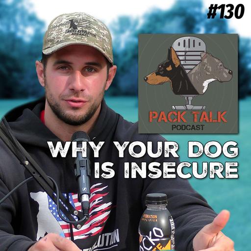 #130 Why is My Dog Insecure?