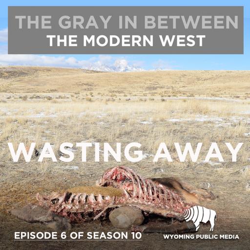 Wasting Away