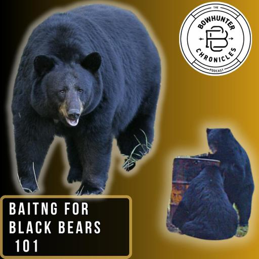 Bear Bait 101: Innovative Bait Strategies for Bear Hunting - Anders Garner