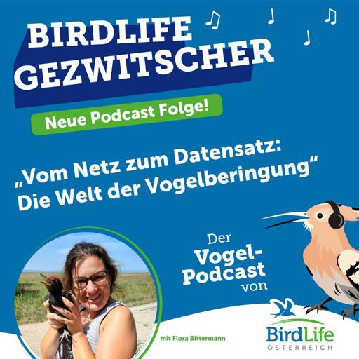 82. Vom Netz zum Datensatz: Die Welt der Vogelberingung