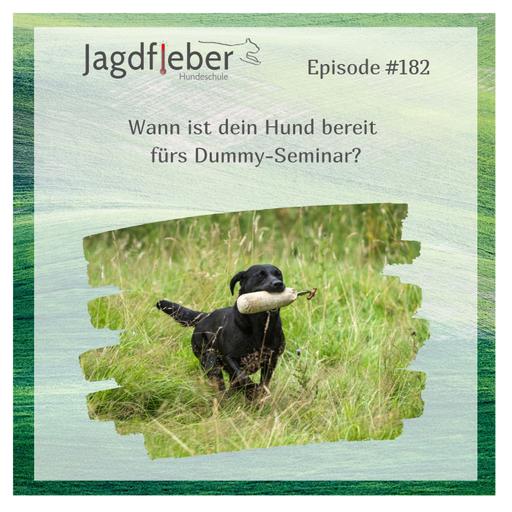 P182: Wann ist dein Hund bereit fürs Dummy-Seminar?