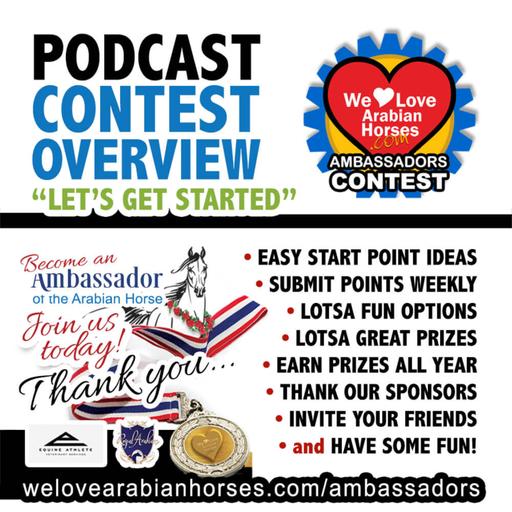 Contest Team • Saddle Up for Fun: Inside the Contest