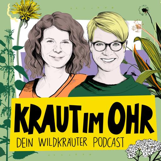 Kraut-Essay Linde: Die Heilpflanzen des Jahres 2025