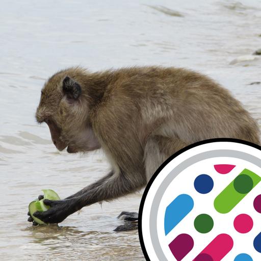 Finland's giant virus, and monkeys take care of their teeth