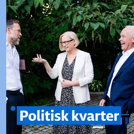 Ukens politiske kvarter