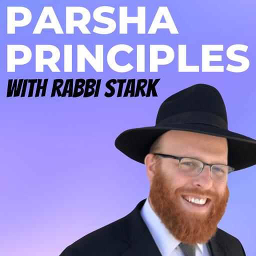 Mastering Your Mission (Shelach - Parsha Principles)